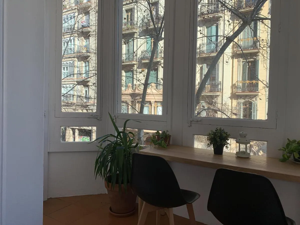 Hostel Coimpact Coliving Bruc Barcelona